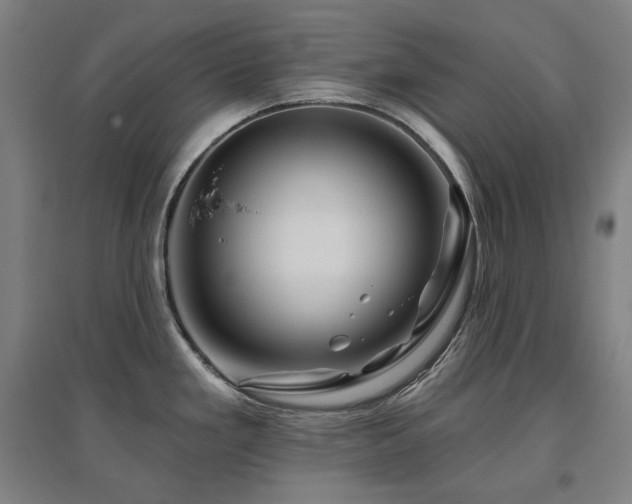 X0000095901293200801111200