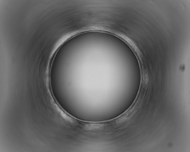 X0000095901294200801111200