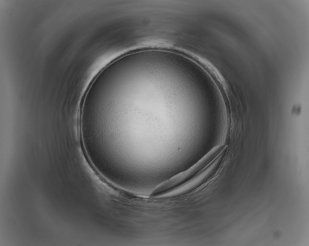 X0000095901295200801111200