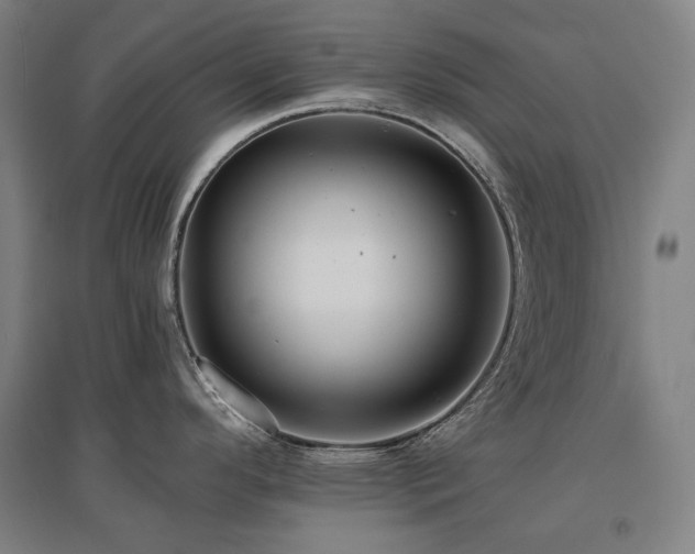 X0000095901296200801111200