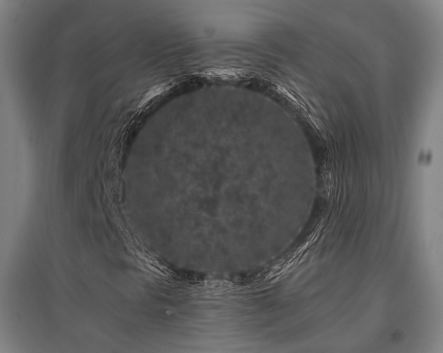 X0000095901297200801111200