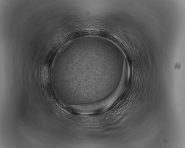 X0000095901298200801111200