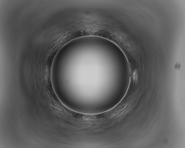 X0000095901299200801111200