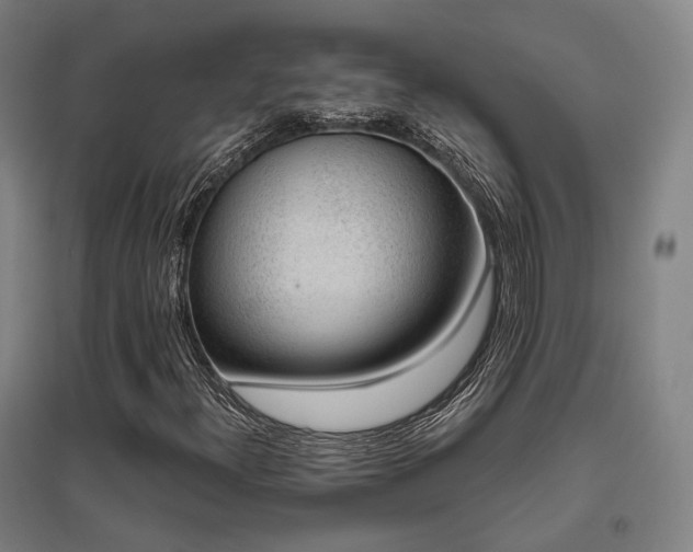 X0000095901300200801111200