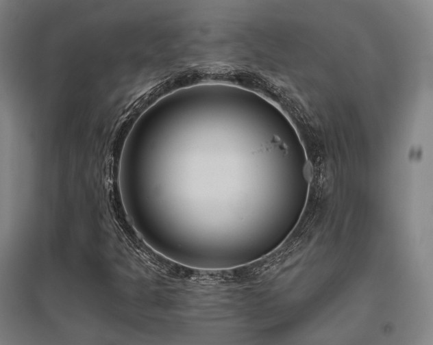 X0000095901301200801111200