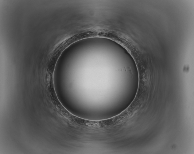 X0000095901302200801111200