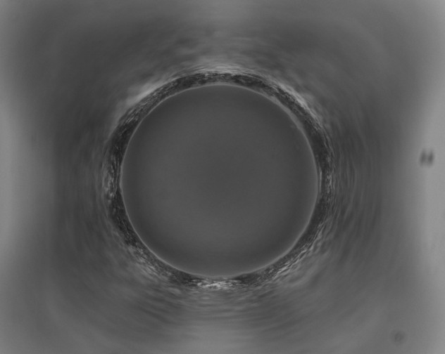 X0000095901303200801111200
