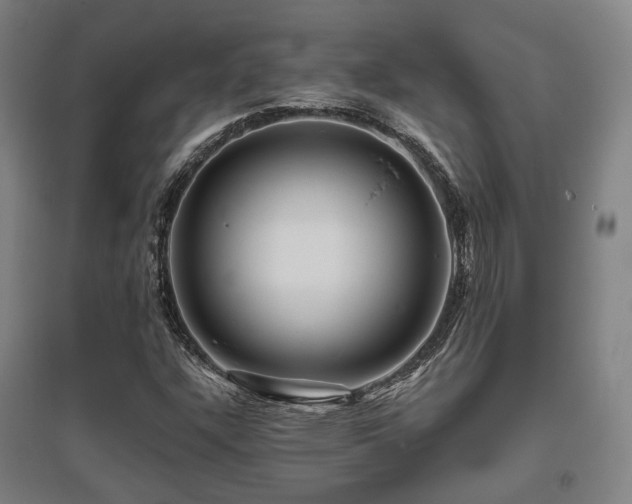 X0000095901304200801111200