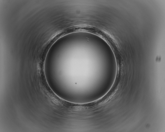 X0000095901305200801111200