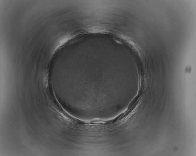 X0000095901306200801111200