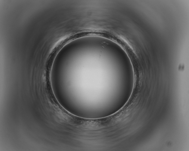 X0000095901307200801111200