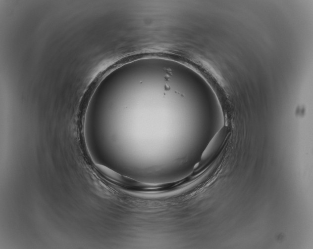 X0000095901308200801111200