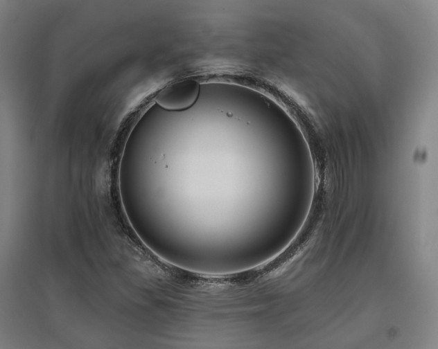 X0000095901309200801111200