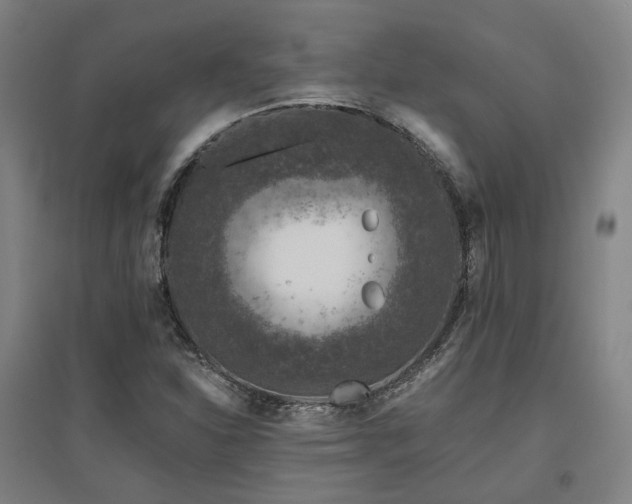 X0000095901310200801111200