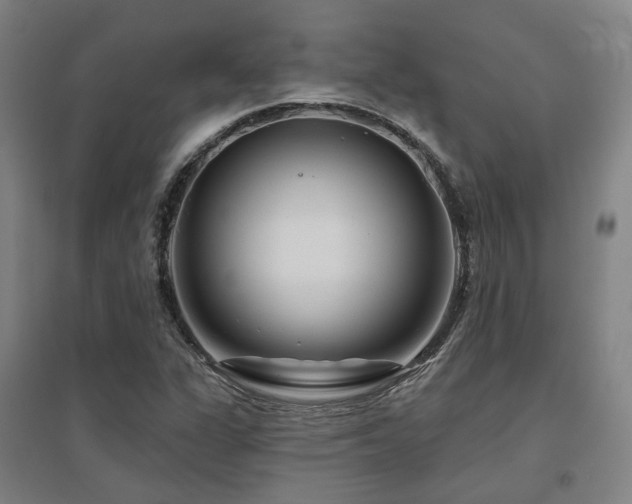 X0000095901311200801111200