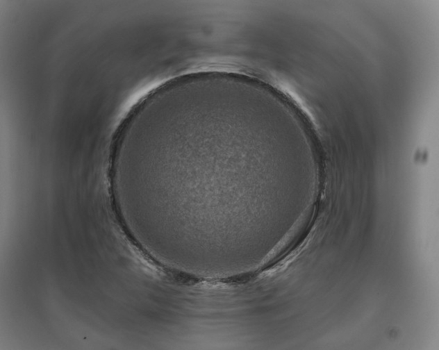 X0000095901312200801111200