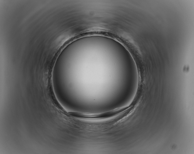 X0000095901313200801111200