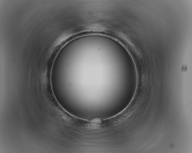 X0000095901315200801111200