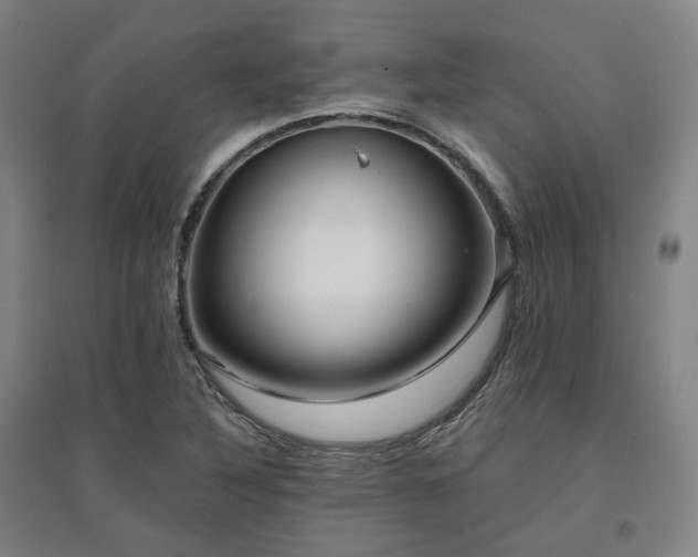 X0000095901316200801111200