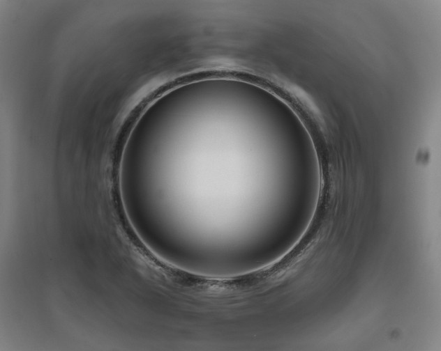 X0000095901318200801111200