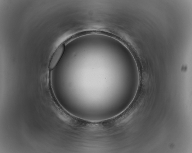 X0000095901320200801111200