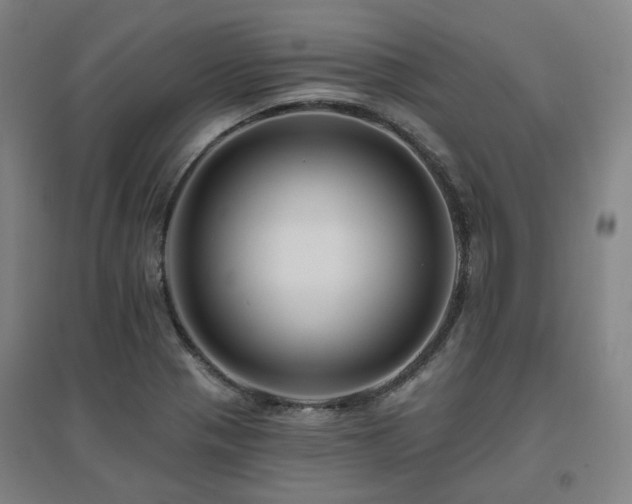X0000095901321200801111200