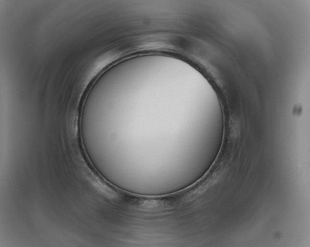 X0000095901322200801111200