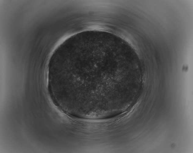 X0000095901323200801111200