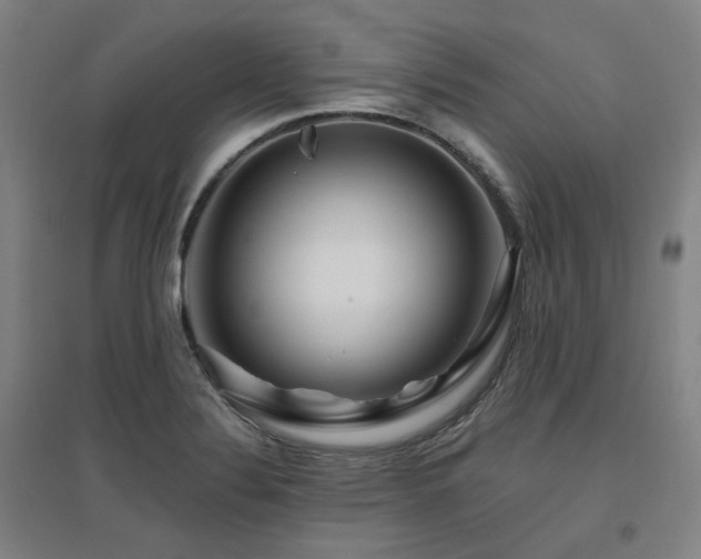 X0000095901324200801111200