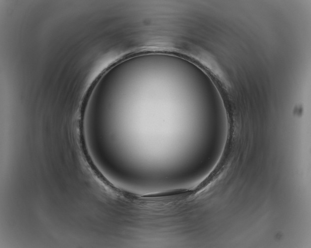 X0000095901325200801111200