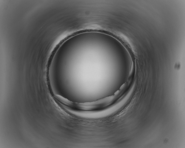 X0000095901326200801111200
