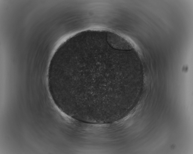 X0000095901327200801111200