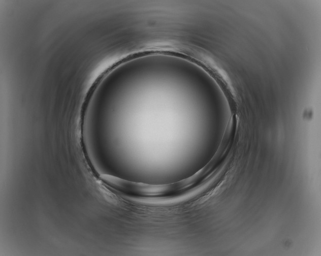 X0000095901328200801111200