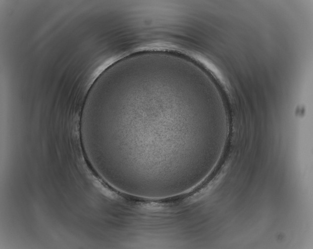 X0000095901329200801111200