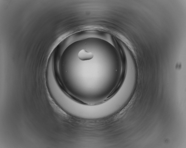 X0000095901330200801111200