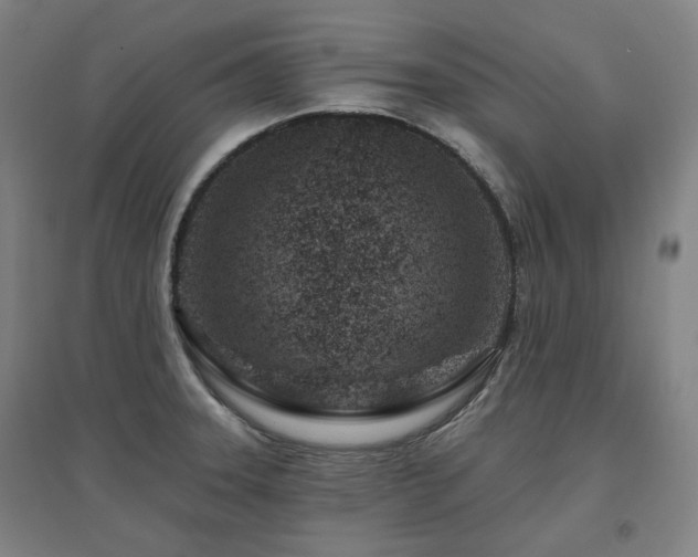 X0000095901331200801111200
