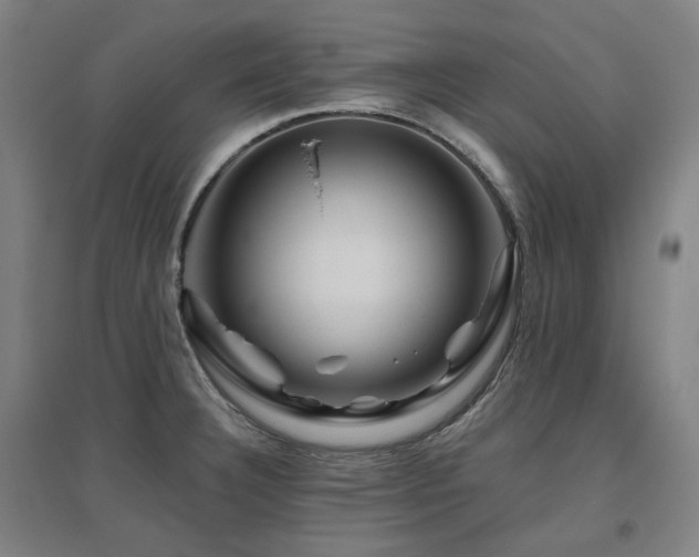 X0000095901332200801111200