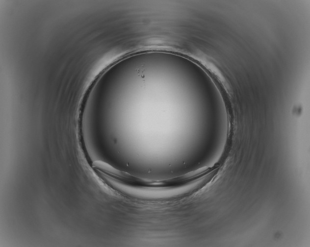 X0000095901333200801111200