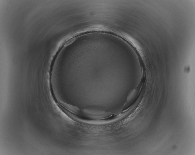 X0000095901334200801111200