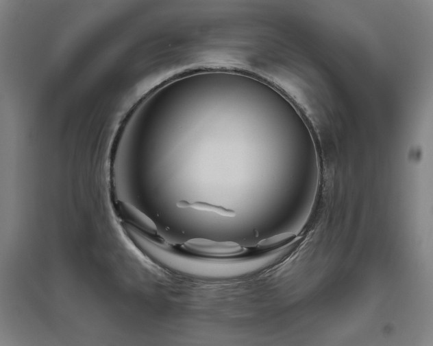 X0000095901335200801111200