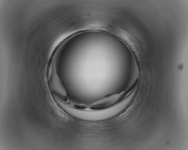 X0000095901336200801111200