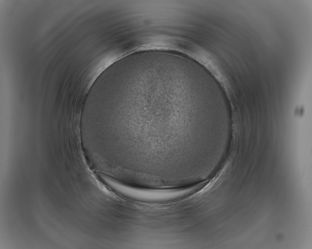 X0000095901337200801111200