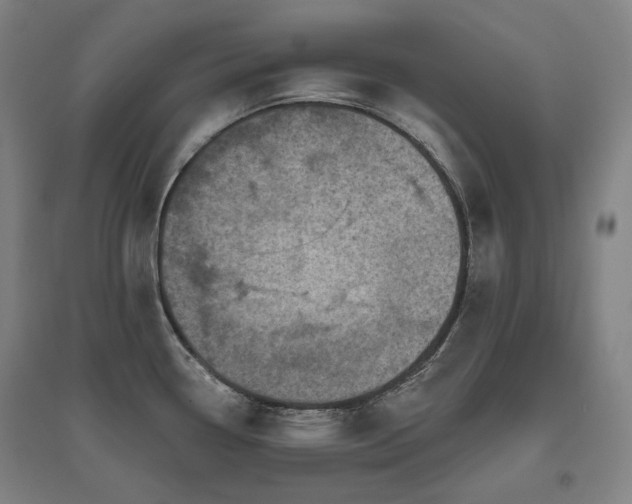 X0000095901338200801111200