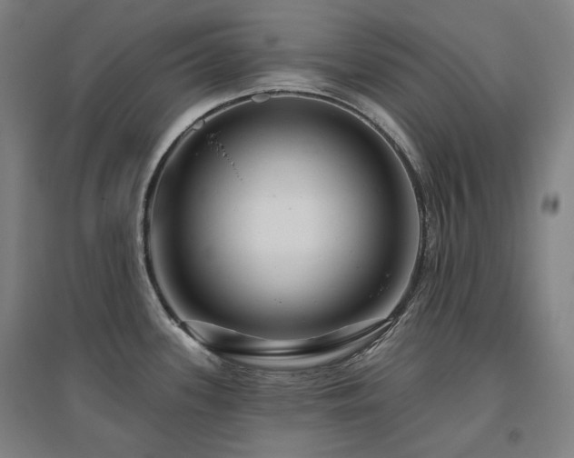 X0000095901339200801111200