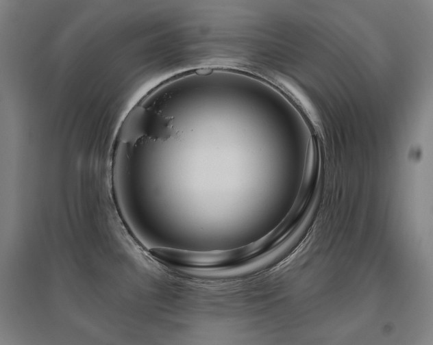 X0000095901340200801111200