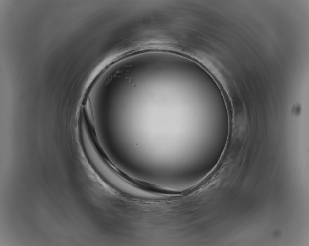 X0000095901341200801111200
