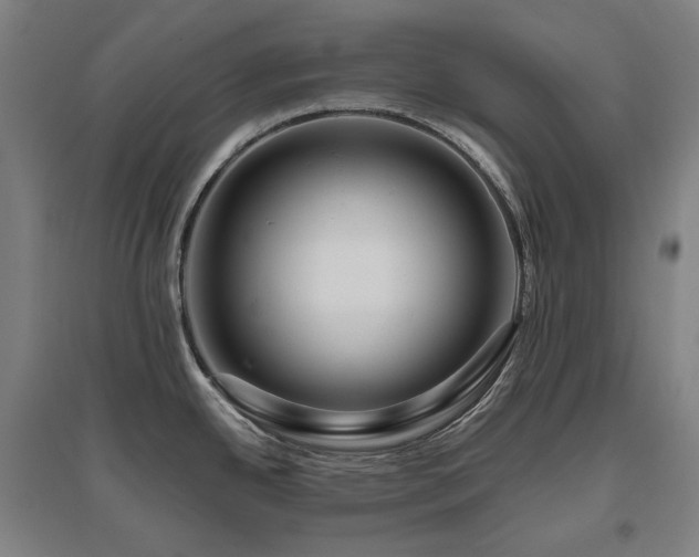 X0000095901342200801111200