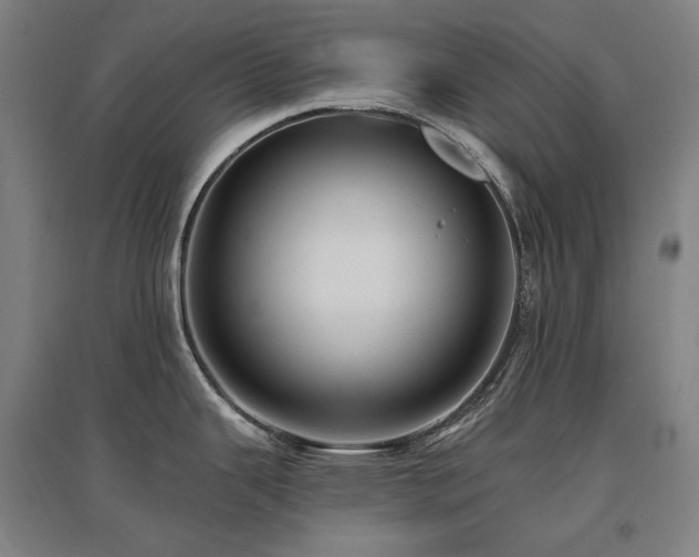 X0000095901343200801111200