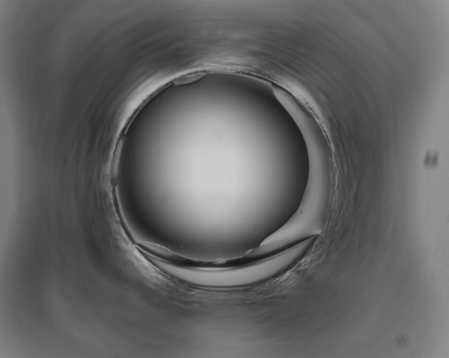 X0000095901344200801111200