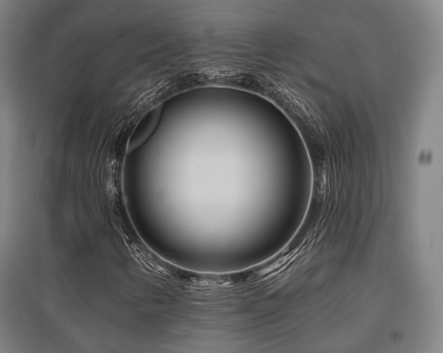X0000095901346200801111200